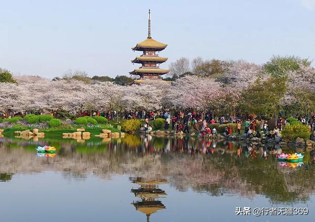 西安藏獒峰会:农村发展互助养老，大家觉得怎么样？