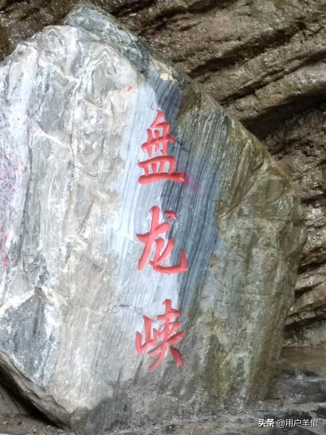 上海李雅:退休之后，你会去上老年大学吗想学什么