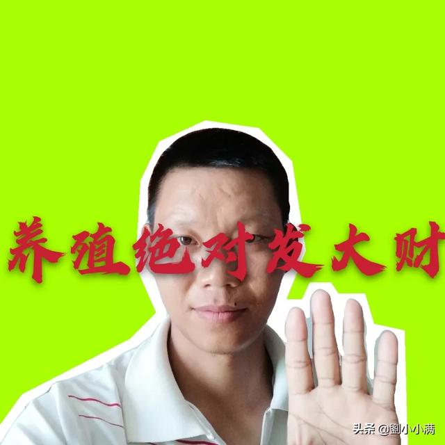 現在越来越多的农村空心化,未来的农村该何去何从？
