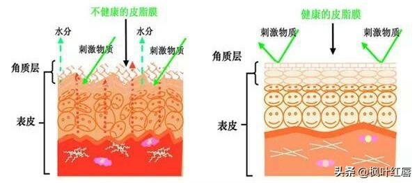 如何识别:如何分辨陨石与炉渣？哪些特征可以帮助人辨别？