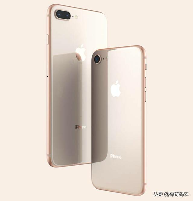 8plus和xs哪个性价比高？