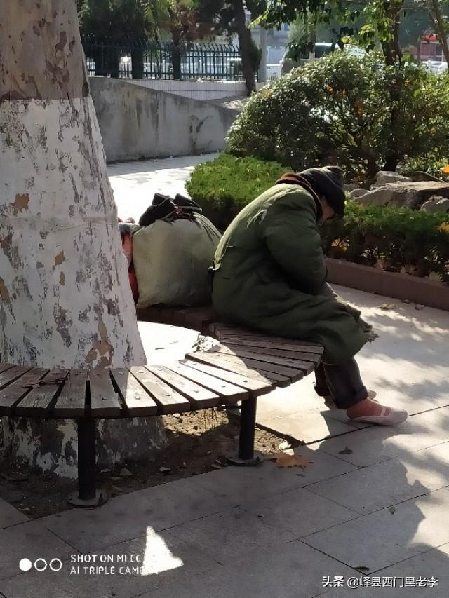 曼基康猫 58:大家对于农村养老问题怎么看待？