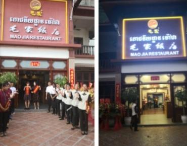 灰头鹀窝图片:有什么事是你去了柬埔寨才知道的？
