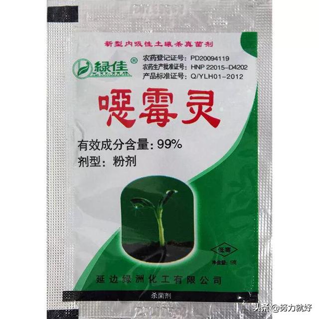 治闲灵的作用:恶霉灵都能防治什么病啊！作用机理是什么？