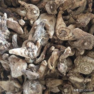 2017年鲜白芨价格:白芨价格触底，怎样加工更好？