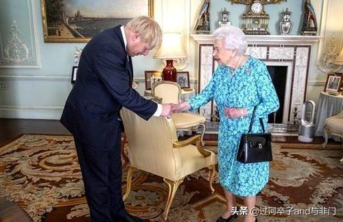 英国女王的狗狗:宠物纠纷，狗狗咬死了别人家的狗狗。我该怎么处理？