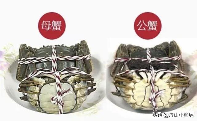 河蟹怎么做好吃呢:大螃蟹怎么吃？在家自己怎么做最美味？