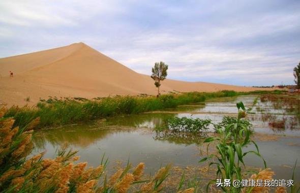 如果塔克拉玛干沙漠每年的平均降雨量再增加3000毫米,10年后会是怎样的景象？