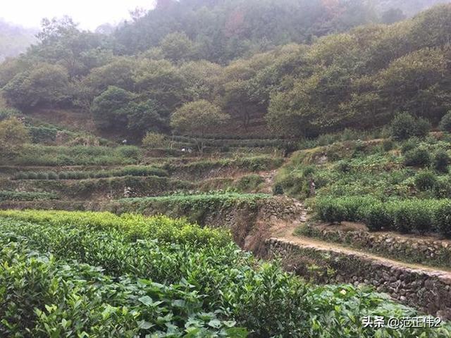 做自媒体短视频，标题怎样写才能更吸引人的目光？(吸引人的自媒体昵称)