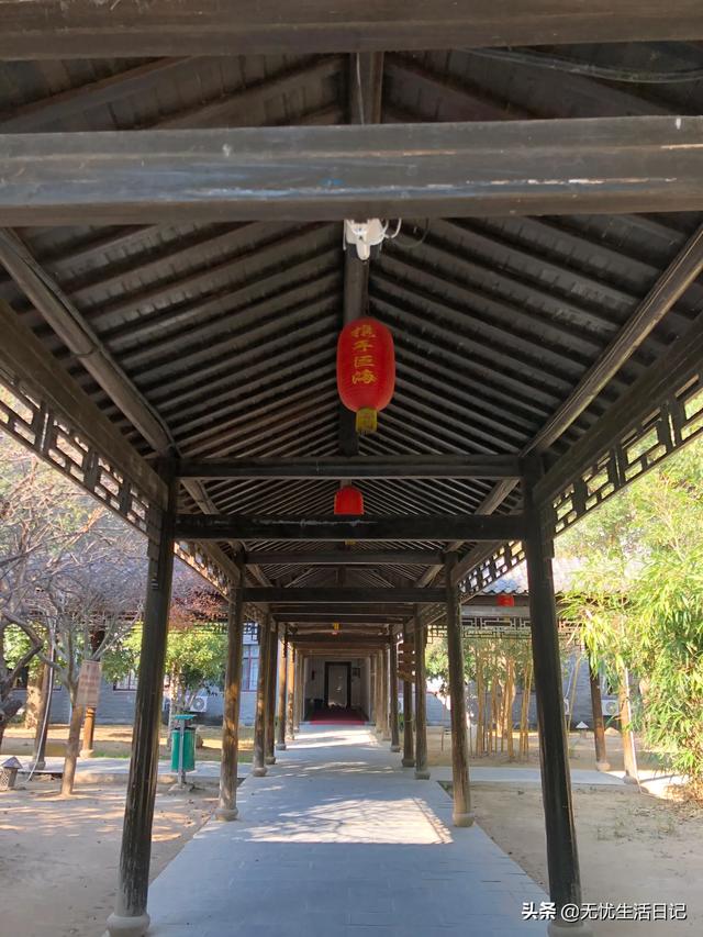 在农村不想出去了有什么好的创业项目？