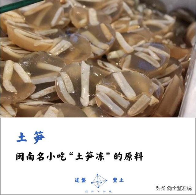 龙趸王:中国四个海哪个海里的海鲜好吃，为什么