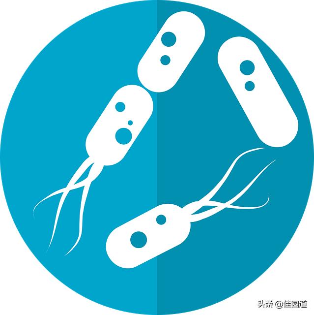 胃痛反复真难受,多喝1种水少吃2种食物,不发炎不溃疡,幽门螺旋杆菌灭干净,具体该怎么做？