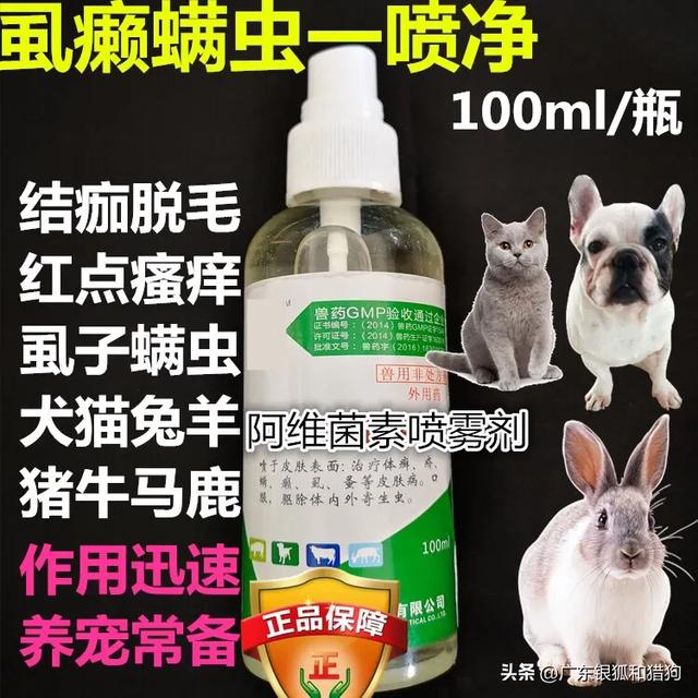 治疗狗狗螨虫的药:狗狗身上有螨虫该怎么办？ 狗狗去螨虫用什么药