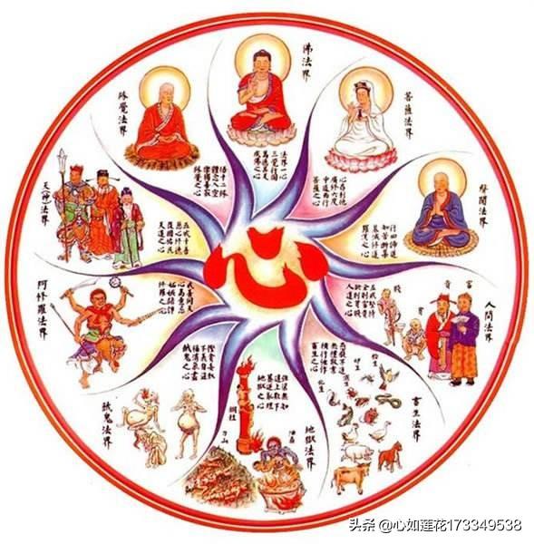 翻车鱼的死法太残忍了:一个在社会上糟糕透顶的人，应该繁衍后代吗？
