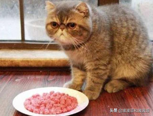 猫咪的肉真是酸的吗，猫咪喜欢吃生肉还是熟肉，吃生肉好还是吃熟肉好