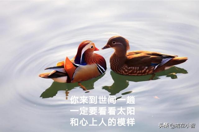 留下你认为最美的三句话情诗？