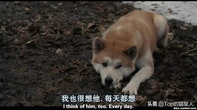 石安妮:最近闲来无事想看几部电视剧，有当兵方面的电视剧推荐吗？