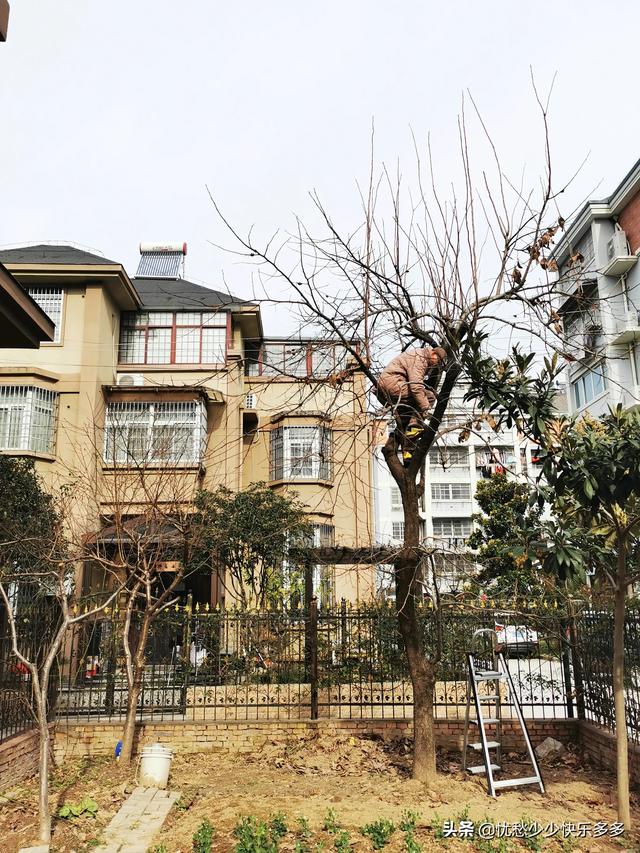 家住别墅是什么样的感觉？插图52