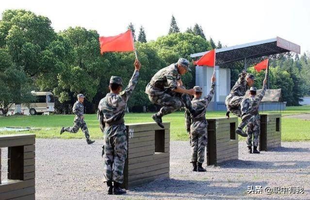 奔跑晶骡子:骡子分公母吗？驴骡子和马骡子有何区别？