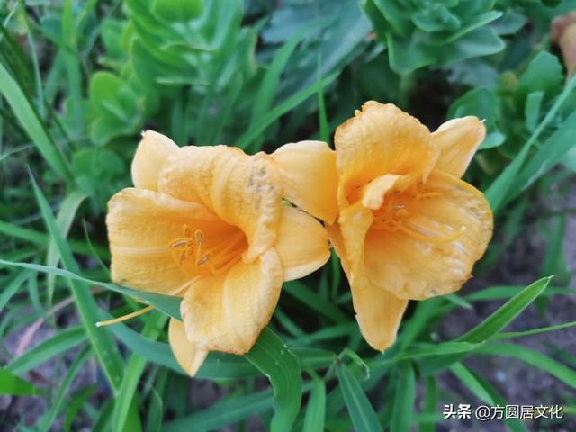李斯的一生算是个成功者还是失败者？
