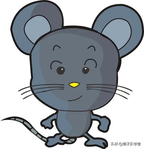 白老鼠会咬人吗:老鼠敢咬人为什么不敢咬猫？