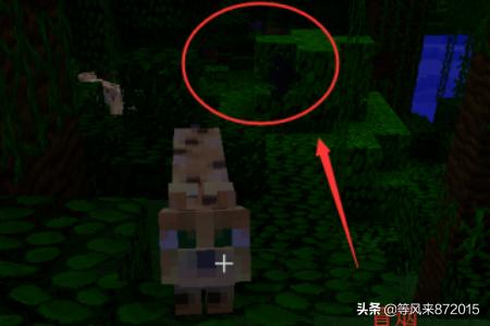 野猫驯养法txt资源:Minecraft我的世界野猫怎么驯服？