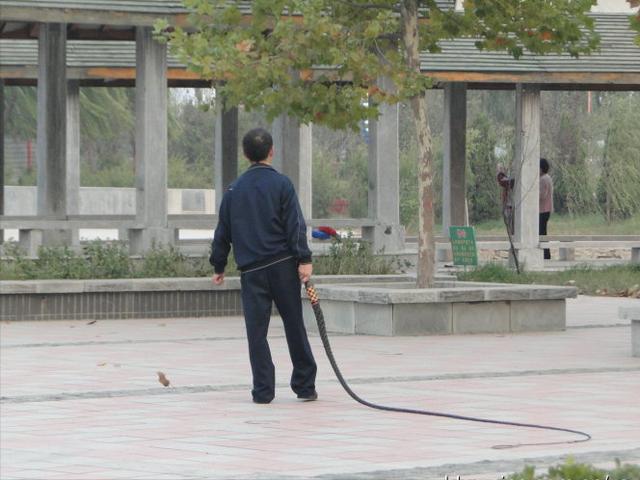 都说恶有恶报，有谁见过现世报的吗？