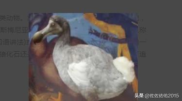 史德拉海牛灭绝在哪:10大已灭绝物种：霸王龙、斑驴？