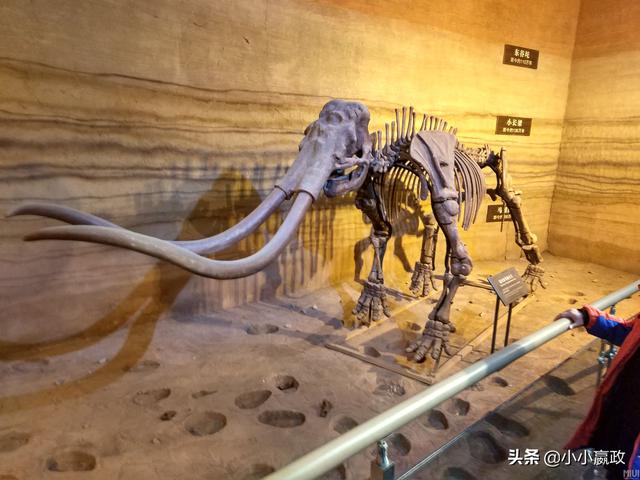 俄罗斯打穿地球灵异事件:据说斯诺登曾经爆料过地下世界？地底下真的有人类存在吗？