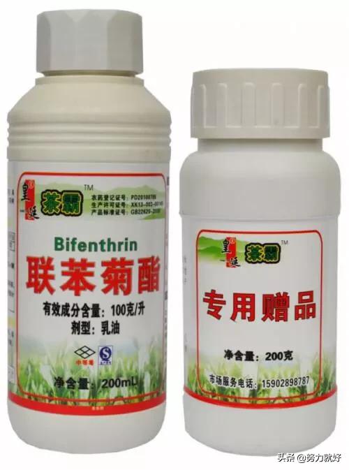 玉米地蚜虫怎么防治:联苯菊酯可以防治玉米上的蚜虫钻心虫吗？