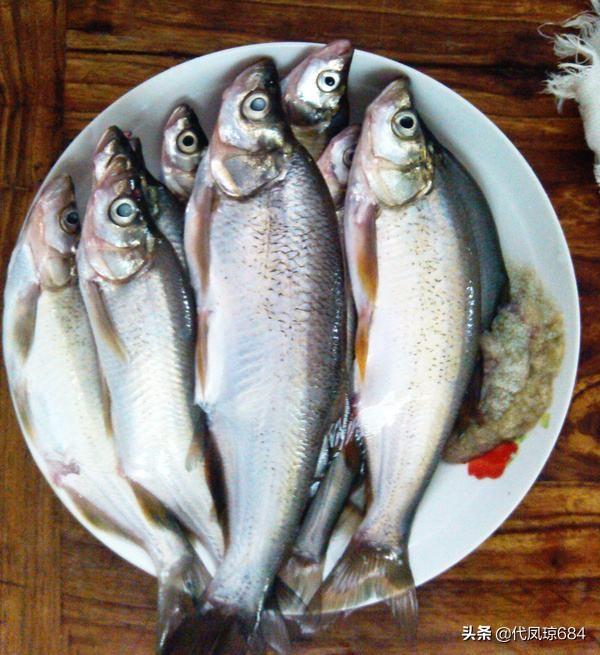 炖鱼时不能放哪两种调料，炖鱼到底放哪些材料才好吃呢？