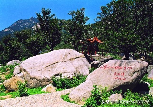 王音璇:有几个看过《苦菜花》的？