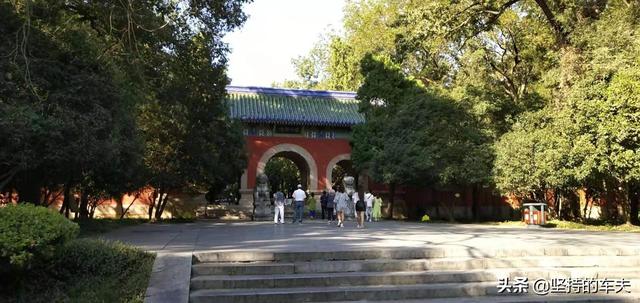 南京滨江公园复工:南京滨江公园在哪里 南京疫情期间有什么地方好玩吗？