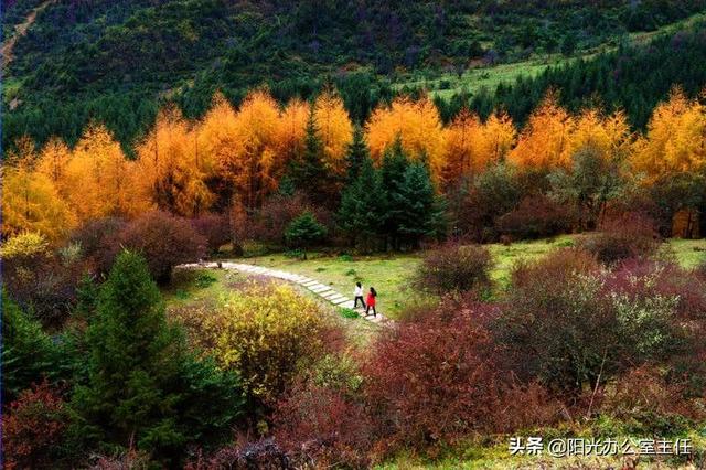 雅女 雅鱼 雅雨:最适合人类居住的三四线城市？