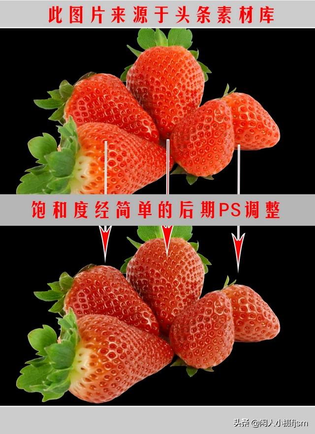 透红小丑 颜色:一朵花如何摄影出白里透红的效果？