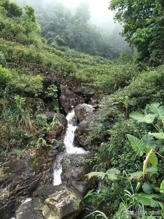 各位朋友大家好,请问哪些个人作坊纯粮酿造酒有好的散酒推荐一下？谢谢大家？