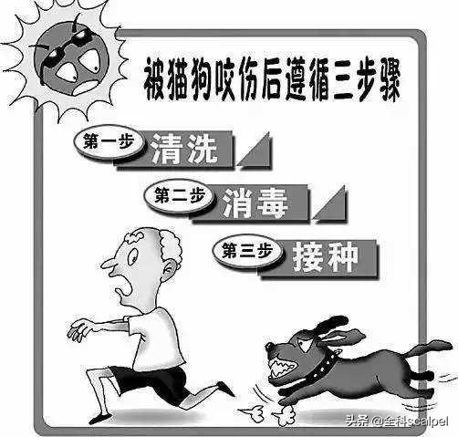 疯狗病:九岁男狂犬病发作，狂犬病应如何预防？