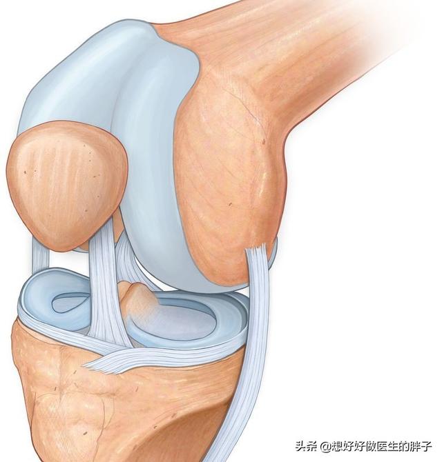半月板损伤症状:半月板损伤症状有哪些 膝盖半月板损伤还能治好吗？