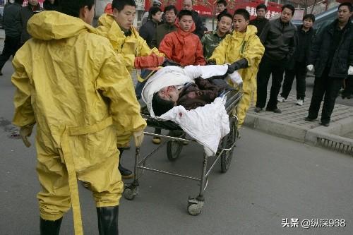流浪狗的故事:流浪狗曾带给过你怎样的感动？
