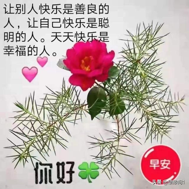 口袋放一样东西必定发财,请问送炒股的人什么礼物比较好啊？