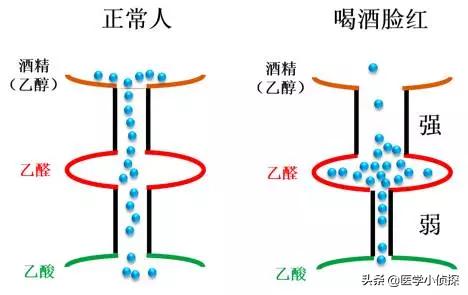 身体出现哪些信号,就说明不能再喝酒了？