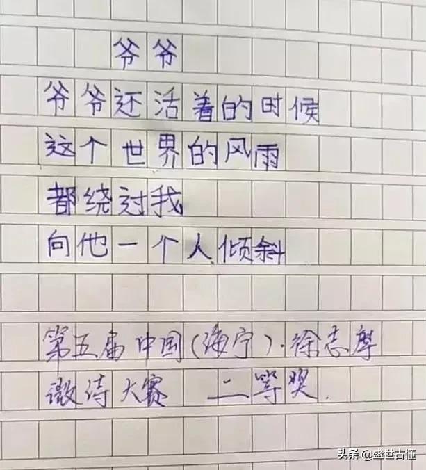 小学生作文全篇,小学生作文50字大全