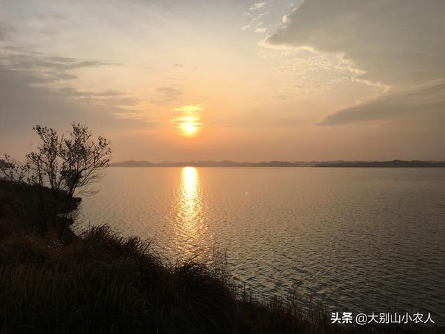 雷达鱼开口:雷达鱼开口饲料 钓鲫鱼时鲫鱼不开口，有人说与技巧和饵料有关，这是真的吗？