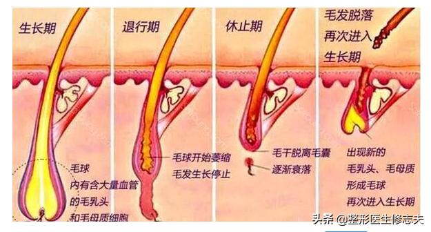 女生嘴边长小胡子应该怎么办？