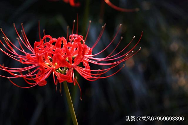 头条问答 - 为什么说生活就是幸福不幸福,快乐不快乐