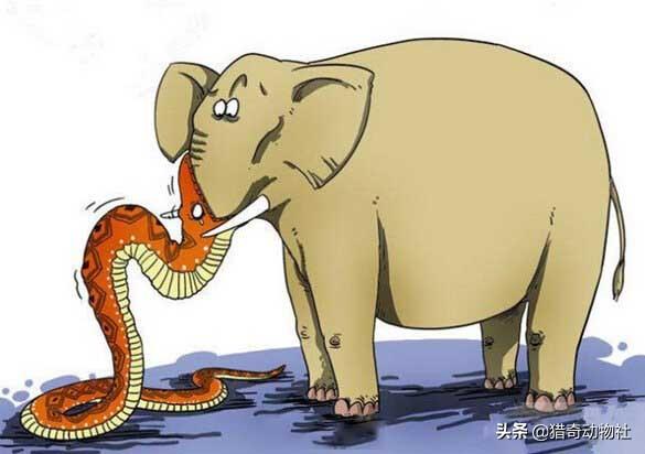 1962年浙江巨型海蛇，海蛇算不算野生动物吃它会不会被抓