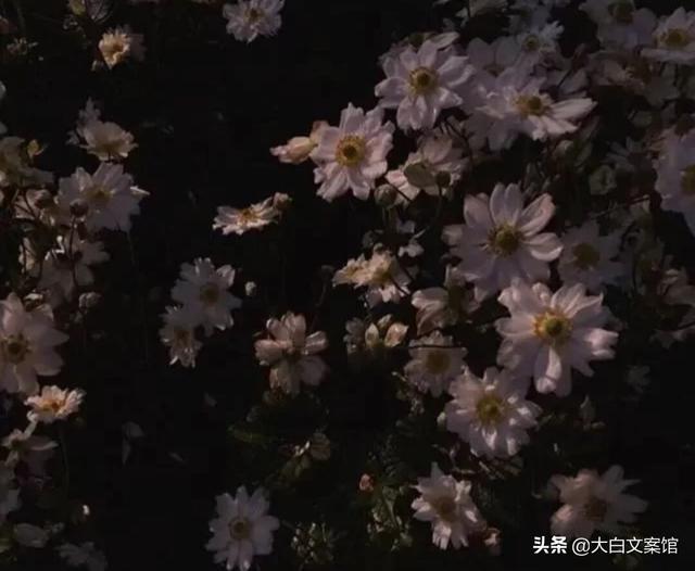 有没有一些比较丧的文案有哪些