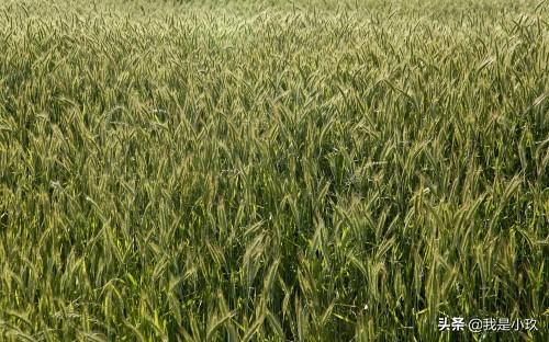 祖坟发十万人丁,为什么很多人晚上不敢去坟地？