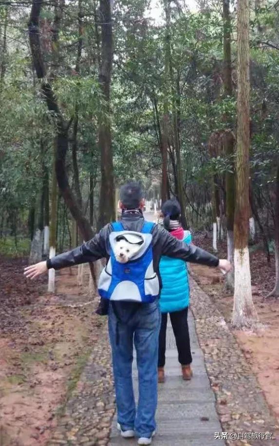 狗孩论坛大全:如果你被自己养的狗咬了，你还会再去养狗吗？为什么？