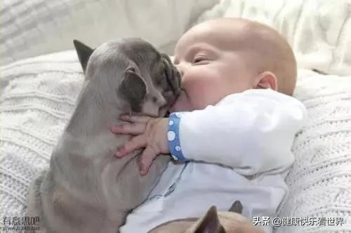世界上最忧伤的狗:假如你的爱犬死了你会伤心吗？
